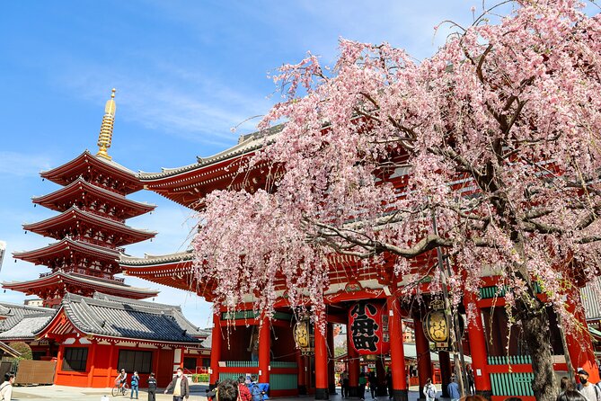 1-Day Tokyo Bus Tour - Key highlights worth caring about