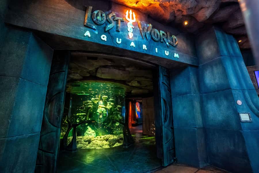 5-Day Pass: Hop-On Hop-Off, Lost World Aquarium, Dubai Frame - Start points and how to actually use the pass smoothly