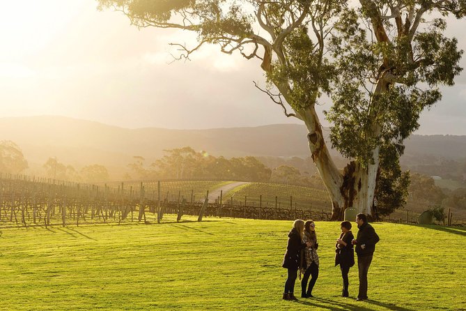 Adelaide Hills & Hahndorf Hop-On Hop-Off Wine Tour - 6 Key Things That Make This Tour Work So Well