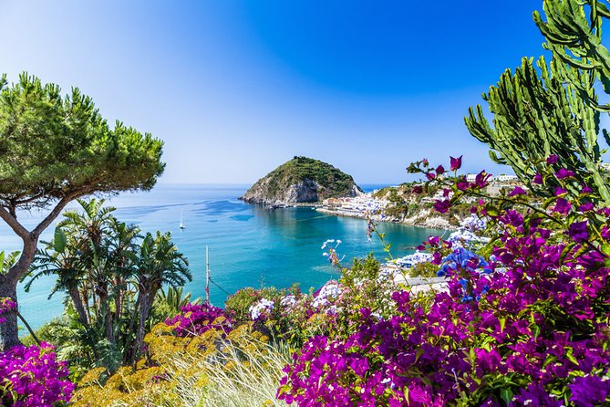Afternoon Bus Tour of the Island of Ischia - Key things to know before you go