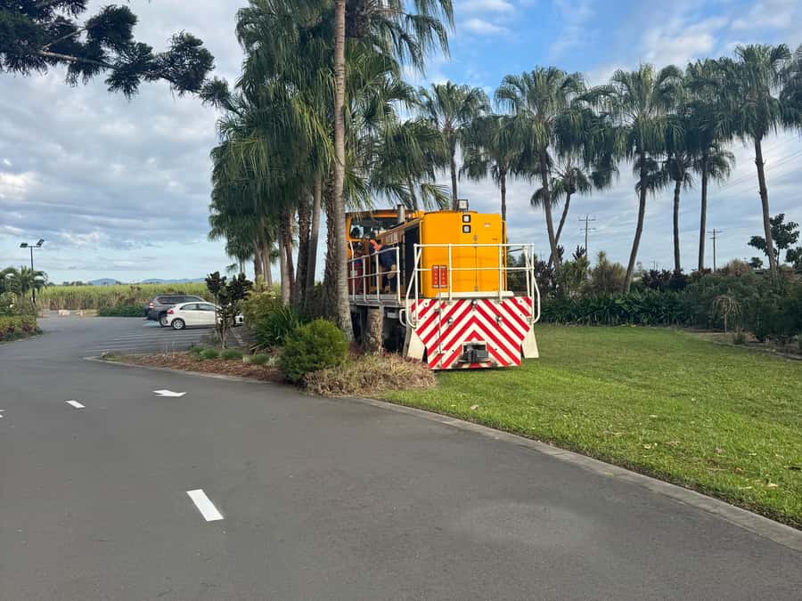 Airlie Beach: Sightseeing Bus Tour - Cedar Creek Falls: Swim Time, Rainforest Air, and Photo Stops