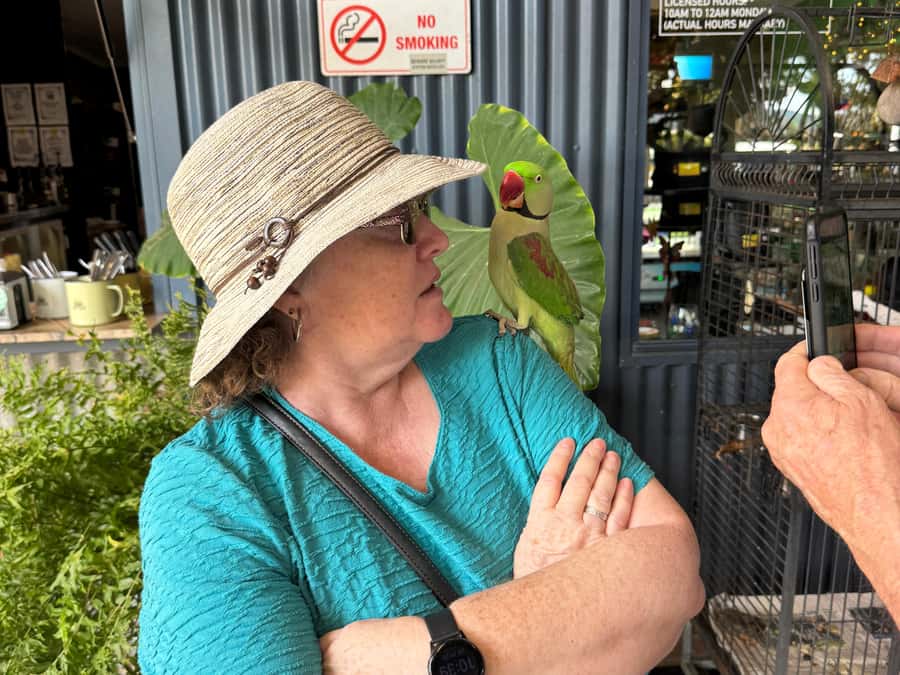 Airlie Beach: Sightseeing Bus Tour - What I Think the Eco-Certified Part Means for You
