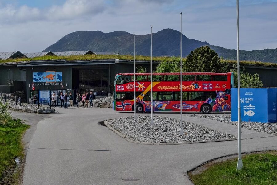 Alesund: City Sightseeing Hop-On Hop-Off Bus Tour - Aksla View Point / Fjellstua: the photo stop you shouldn’t skip