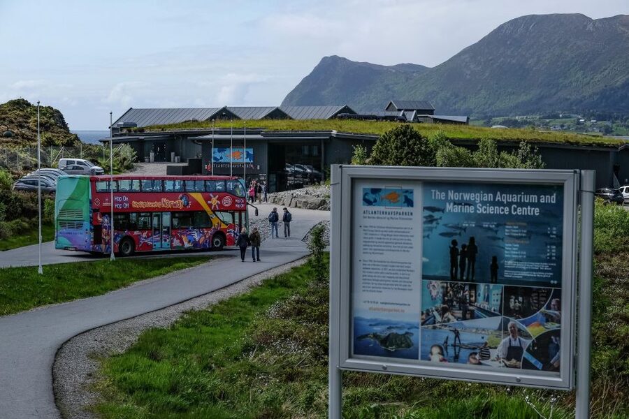 Alesund: City Sightseeing Hop-On Hop-Off Bus Tour - Art Nouveau Centre (and the Kube museum): architecture without the planning pain