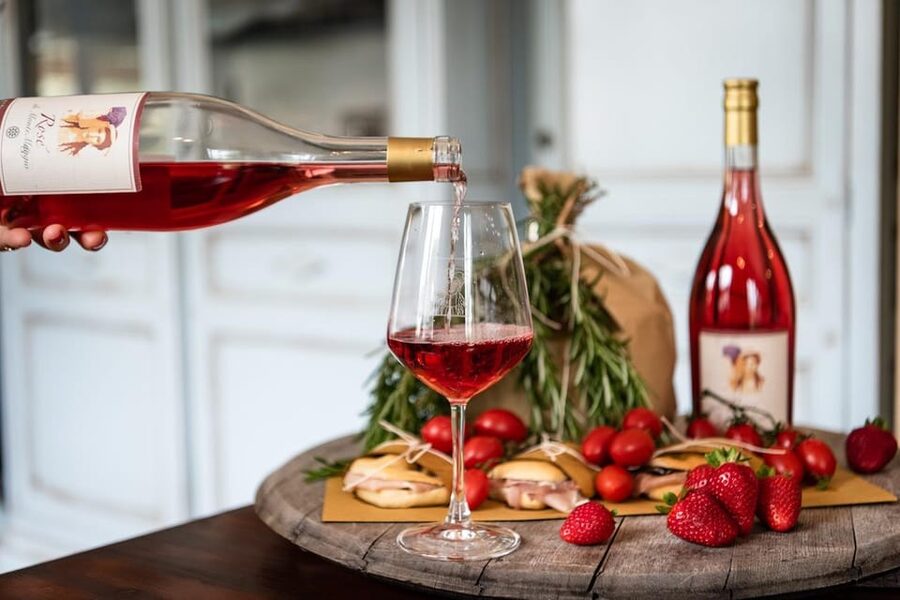 ANTI-BUS TOUR! By van: San Gimignano & Chianti Wine - Price and value: why $228 (or promo pricing) can feel fair