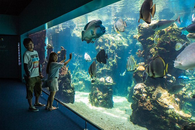 Aquarium Package in Nouméa's with Admission with Hop-on Hop-Off - Key highlights at a glance
