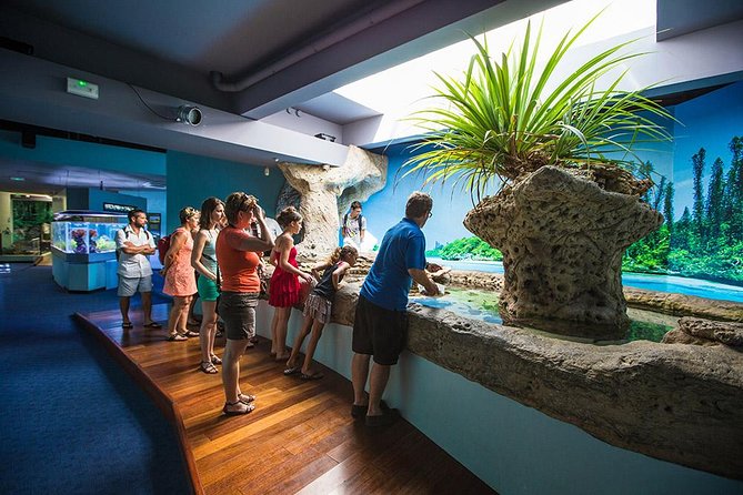 Aquarium Package in Nouméa's with Admission with Hop-on Hop-Off - Aquarium des Lagons: what you’ll actually see (nautilus, corals, turtles)