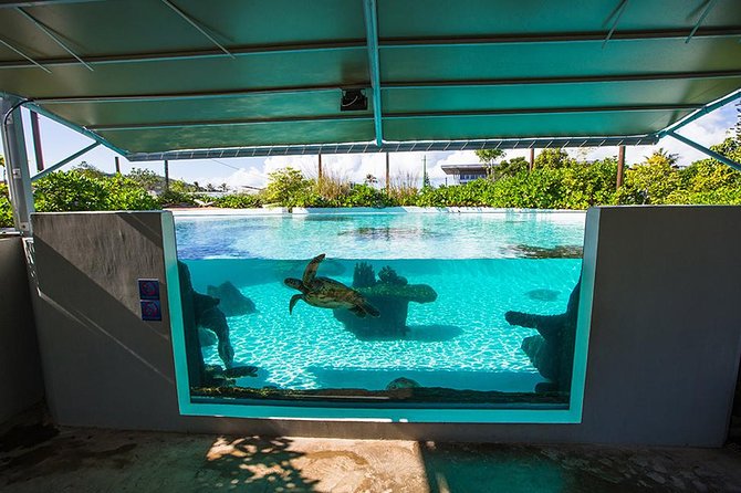 Aquarium Package in Nouméa's with Admission with Hop-on Hop-Off - Best for who: cruise families, curiosity seekers, and rainy-day planners