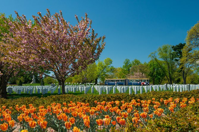 Arlington National Cemetery Hop-On Hop-Off Tour - Your One-Loop Route Through Arlington’s Most Important Stops