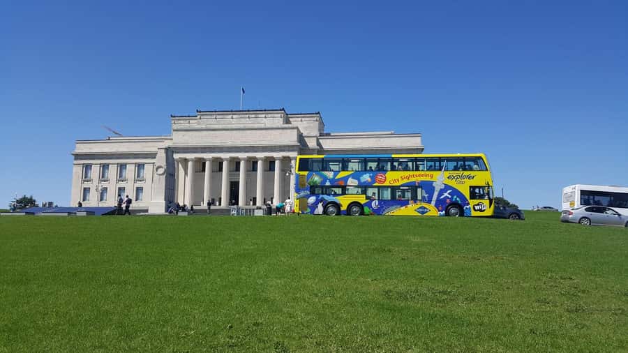 Auckland: Hop-On Hop-Off Explorer Bus Ticket - Summer Bonus Blue Tour: Mt Eden, the Zoo, and MOTAT
