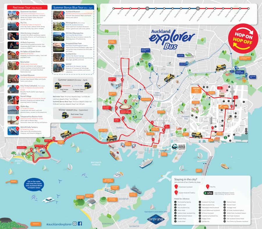 Auckland: Hop-On Hop-Off Explorer Bus Ticket - Timing your 1-day pass so it doesn’t turn into a sprint