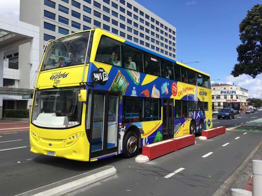 Auckland: Hop-On Hop-Off Explorer Bus Ticket - Should you book this bus?