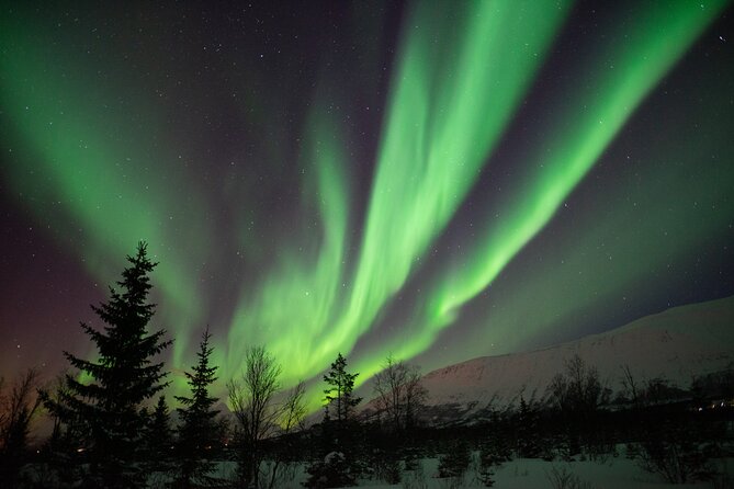 Aurora Safari Chase by big bus, free Photos, toilet onboard - Northern Lights, but with a real plan: Tromsø coach chase