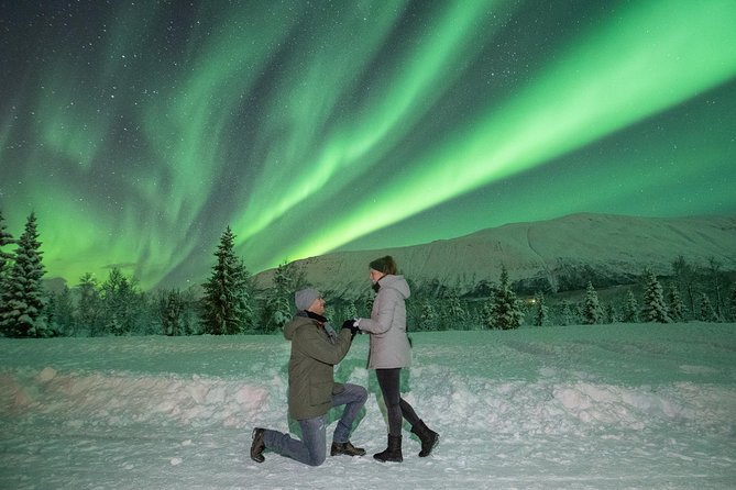 Aurora Safari Chase by big bus, free Photos, toilet onboard - Sled-deep in Troms County: why the route can change mid-evening