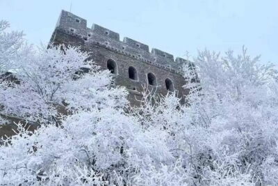 Badaling Great Wall Bus Tour - The Timing: 9:30 Pickup, Roughly 7–8 Hours Total