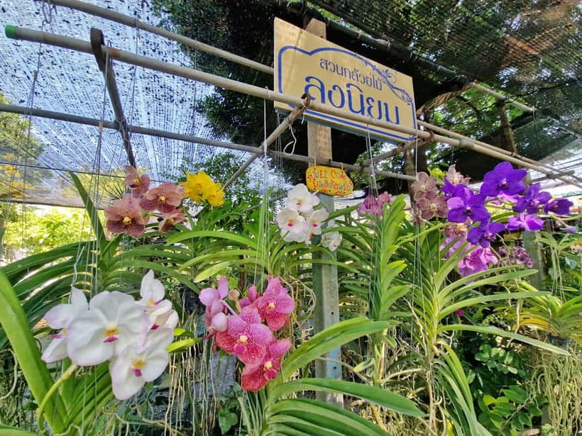 Bangkok Canals Hop-On Hop-Off Boat Tour - Hop-On Hop-Off Means You Actually Set the Tempo