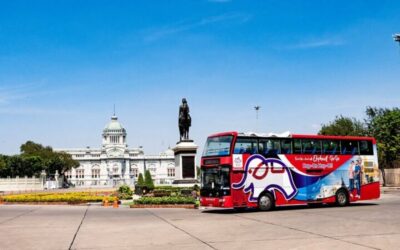 Bangkok: Chinatown Night Walking Tour and Hop On Hop Off Bus - Daytime sightseeing on the Elephant City double-decker (9AM–3PM, 15 stops)