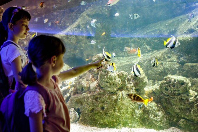 Barcelona City Tour Hop-On Hop-Off and Aquarium - The Aquarium de Barcelona: Mediterranean tanks and the shark tunnel at Port Vell