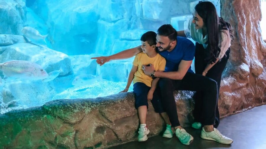 Barcelona: Hop-On Hop-Off Bus & Aquarium Tour - Key Points You’ll Care About