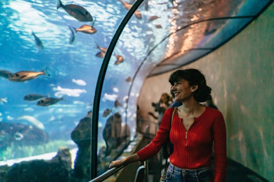 Barcelona: Hop-On Hop-Off Bus & Aquarium Tour - West Route (Orange): Miramar Views to Port Olímpic