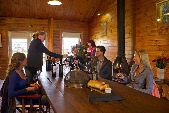 Barossa Valley Hop-On Hop-Off Wine Tour - Stops That Fit the Most People’s Tastes: Maggie Beer, Saltram, and Yalumba