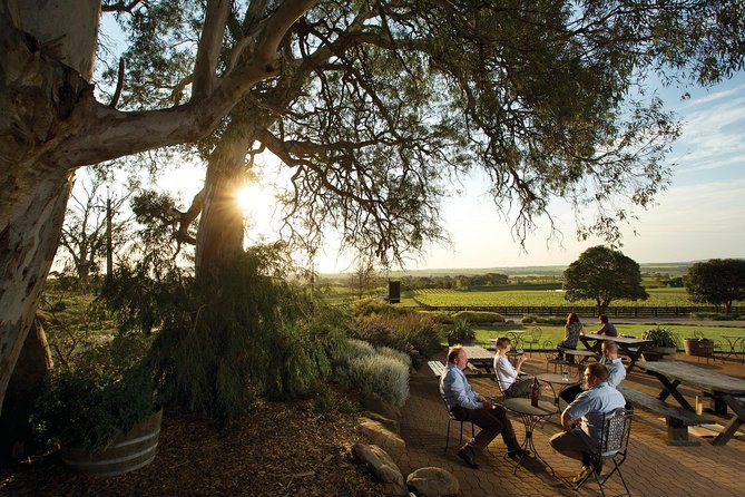 Barossa Valley Hop-On Hop-Off Wine Tour - Popular Winery Picks to Consider When You Build Your Four Stops