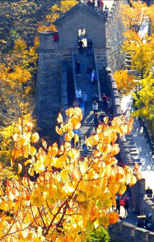Beijing: Mutianyu Great Wall Bus Tour with Ticket &Cable car - Starting Times, Pickup at Hepingxiqiao, and Why Schedule Matters