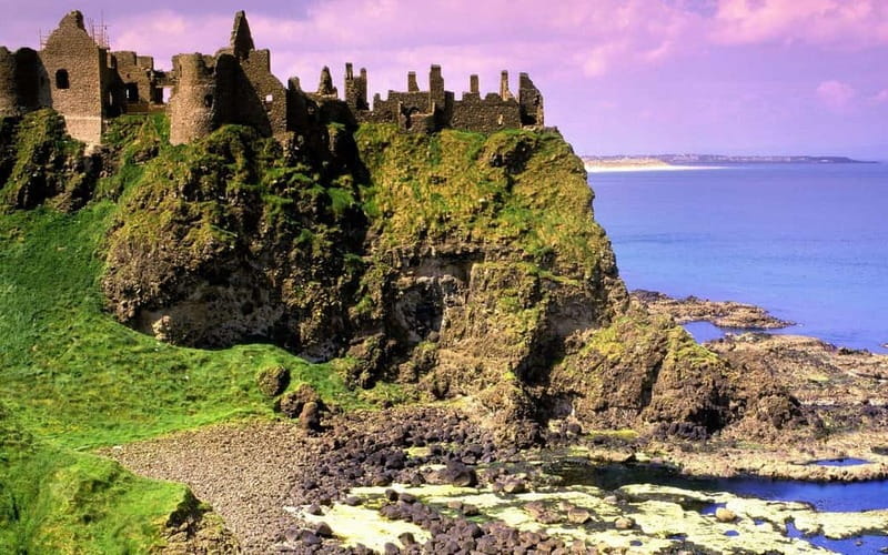 Belfast: Giant's Causeway Tour and 2-Day Open Top-Bus Tour - Who this Belfast Causeway plus bus pass suits best