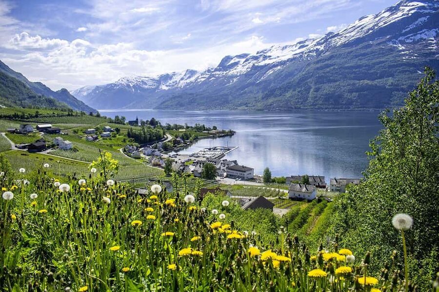Bergen: Hardangerfjord & Waterfalls Bus Tour with Apple Pie - Who This Tour Suits (and Who Should Skip It)