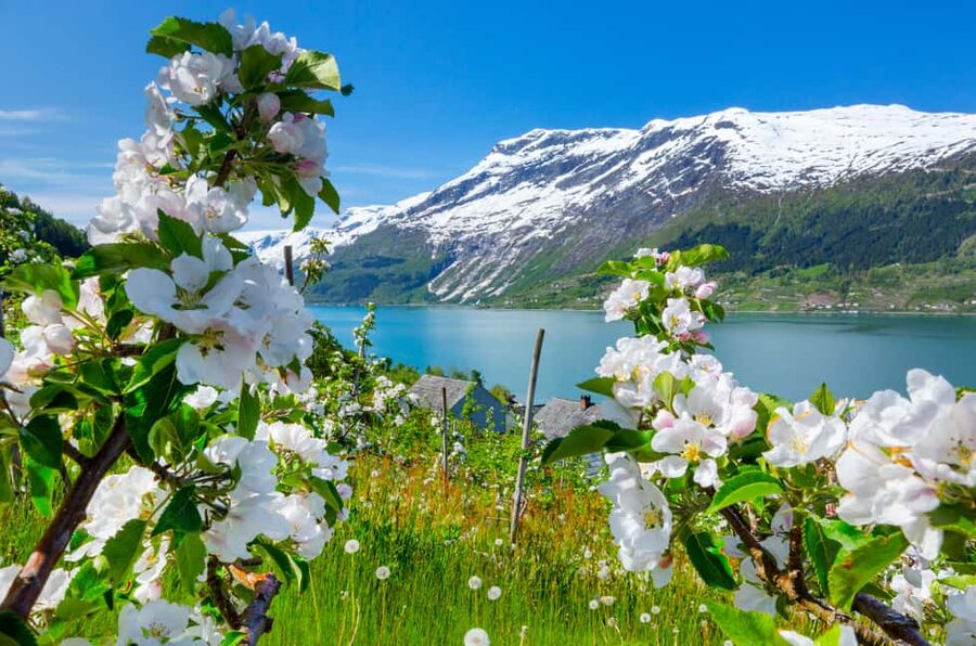 Bergen: Hardangerfjord & Waterfalls Bus Tour with Apple Pie - Waterfall Photo Stops: Morkholsfossen, Fossen bratte, and Steinsdalsfossen