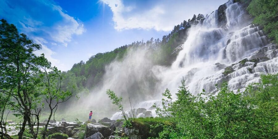 Bergen: Nærøyfjorden, Flåm, and Stegastein Guided Bus Tour - Key highlights worth getting excited about