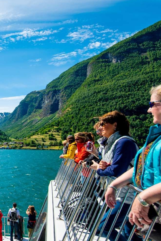 Bergen: Nærøyfjorden, Flåm, and Stegastein Guided Bus Tour - Price and value: what you’re paying for at $309