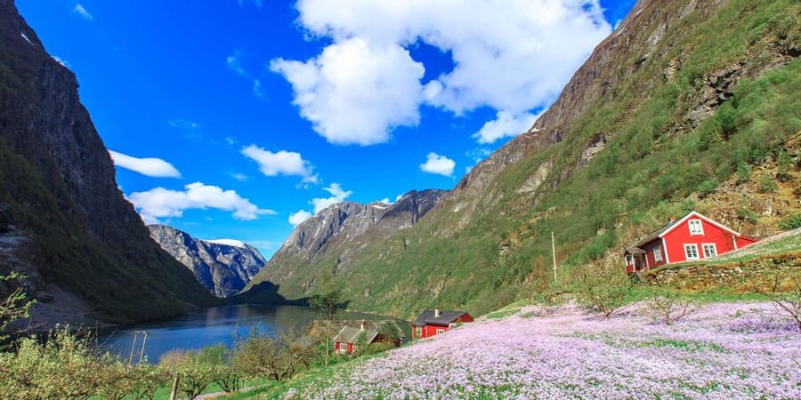 Bergen: Nærøyfjorden, Flåm, and Stegastein Guided Bus Tour - Road scenery and the National Scenic Route effect