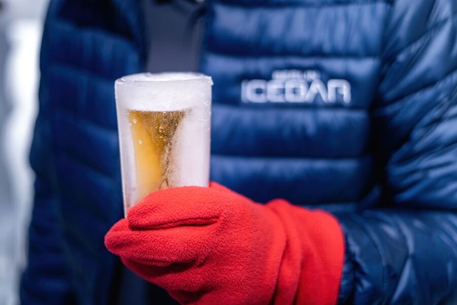 Berlin: Hop-On Hop-Off Bus and Icebar Ticket Combo - Price and value: why this combo makes sense at $44