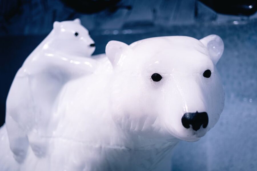 Berlin: Hop-On Hop-Off Bus and Icebar Ticket Combo - The token system and drinks: what the gold and silver really do