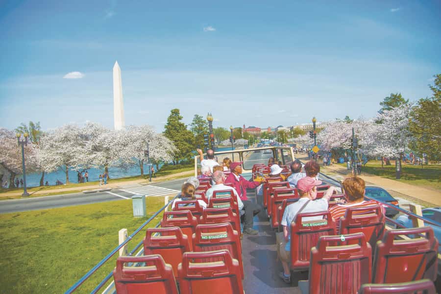 Best of DC: Hop-on Hop-off Bus Tour & Night Tour (Save 40%) - Price and Value: Is $75 a Smart Deal?