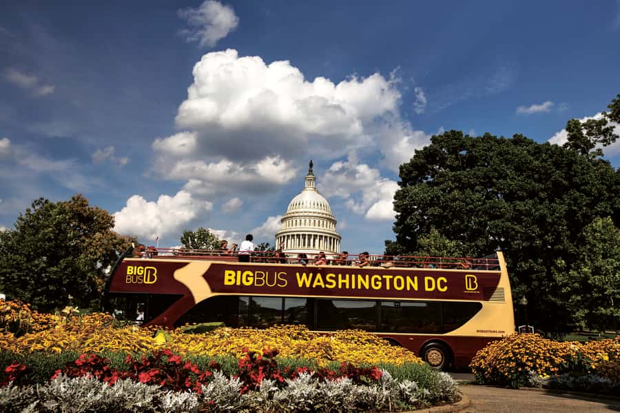 Best of DC: Hop-on Hop-off Bus Tour & Night Tour (Save 40%) - The Night Monuments Plan: Sunset Tour at 6:30pm