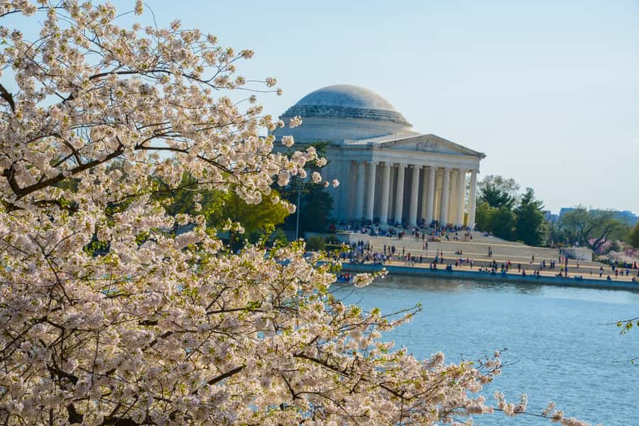 Best of DC: Hop-on Hop-off Bus Tour & Night Tour (Save 40%) - Arlington National Cemetery: Self-Guided, Powerful, and ID-Dependent