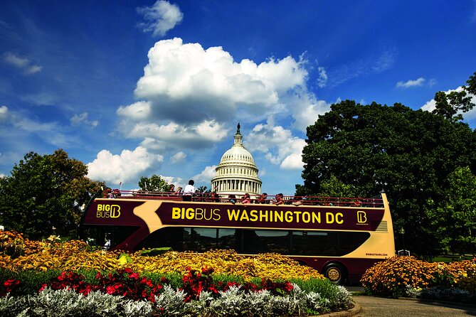 Best of DC: Hop-on Hop-off, Night Tour, and Arlington Audio Guide - Key Points at a Glance