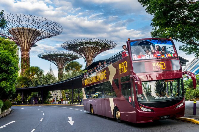 Big Bus Singapore Hop-On Hop-Off Tour - Quick Hits Before You Go