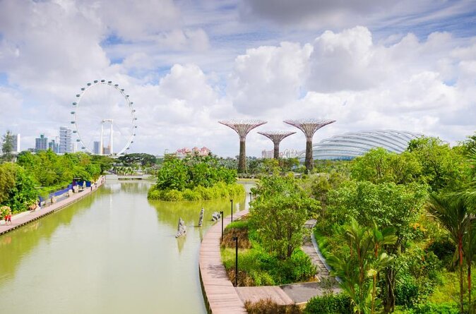 Big Bus Singapore Night Tour with Gardens by the Bay Light Show - Key highlights you can plan around