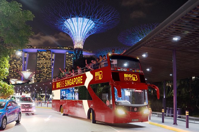 Big Bus Singapore Night Tour with Gardens by the Bay Light Show - Marina Barrage at sunset: your first big photo moment
