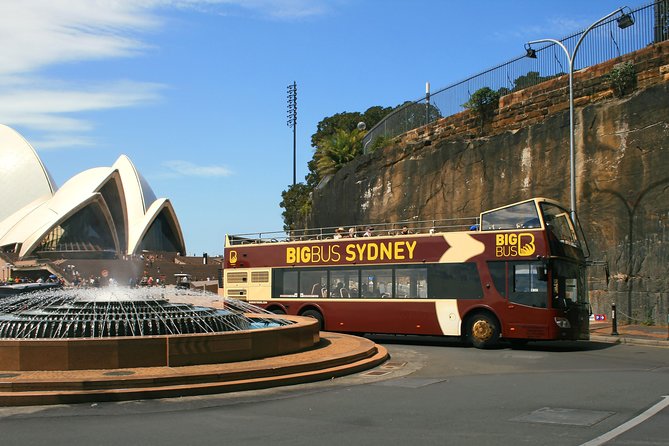 Big Bus Sydney and Bondi Hop-on Hop-off Tour - Comfort Tips and Common Friction Points (From Audio to Bus Stops)