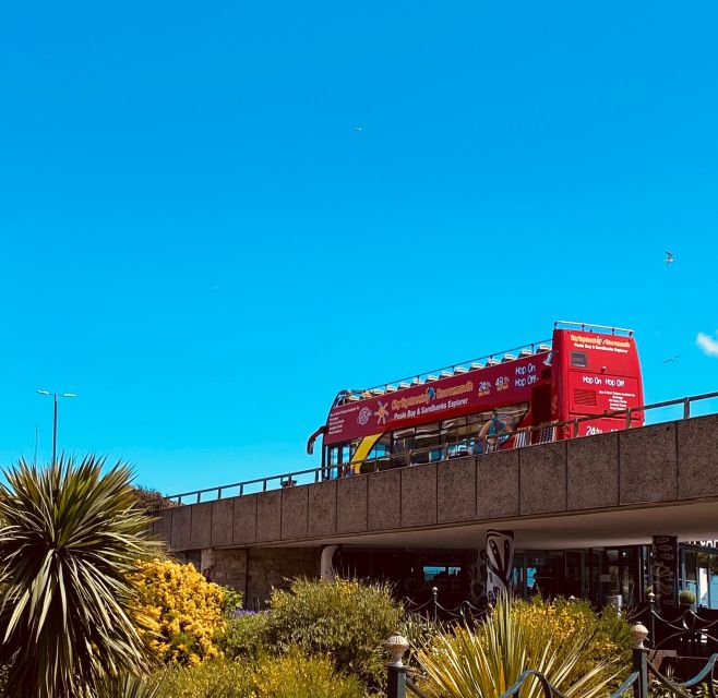 Bournemouth: City Sightseeing Hop-On Hop-Off Bus Tour - Price and value: why around $22 can make sense
