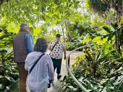 Brisbane Bus Tour: City highlights | Small group | Snack - Pickup in the CBD: Comfortable and Surprisingly Simple
