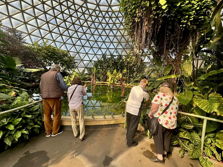 Brisbane Bus Tour: City highlights | Small group | Snack - Coffee, Tea, and Local Snacks: The Pace Break That Helps