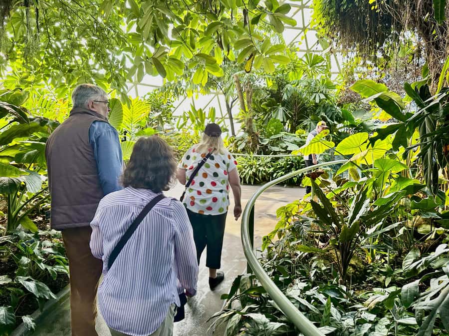 Brisbane Bus Tour: City highlights | Small group | Snack - Pickup in the CBD: Comfortable and Surprisingly Simple