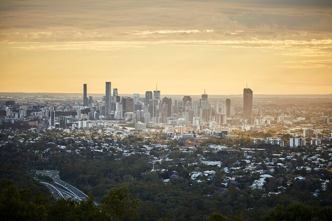 Brisbane Bus Tour: Max 10 people | Half Day | Morning tea inc. - Mt Coot-tha Botanic Gardens: Tropical Dome and Japanese Garden Time