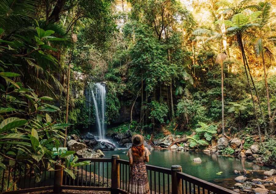 Brisbane: Hop on Hop off Bus to Tamborine Mountain - How the Green Line and Red Line help you plan
