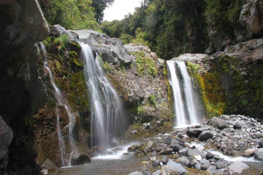 Brisbane: Hop on Hop off Bus to Tamborine Mountain - Driver service: safe, helpful, and actually human